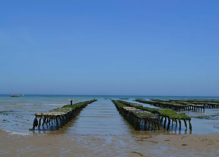 Duplex Ou Plain Pied Confort Plein Centre Proche Commerces, Restaurants, Avec Terrasse Privative Ou Jardin Commun Aménagé Clos, Parking Gratuit à Proximité, Proche Plages Du Débarquement Appartamento Bayeux