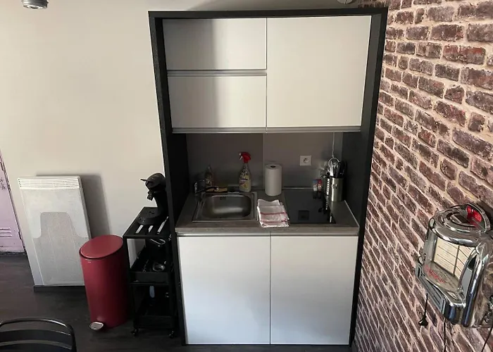 Duplex Ou Plain Pied Confort Plein Centre Proche Commerces, Restaurants, Avec Terrasse Privative Ou Jardin Commun Aménagé Clos, Parking Gratuit à Proximité, Proche Plages Du Débarquement *