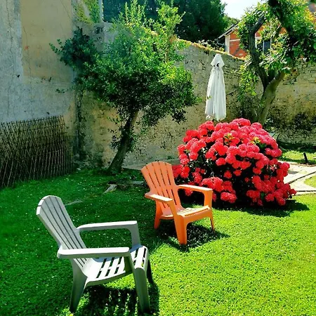 Duplex Ou Plain Pied Confort Plein Centre Proche Commerces, Restaurants, Avec Terrasse Privative Ou Jardin Commun Amenage Clos, Parking Gratuit A Proximite, Proche Plages Du Debarquement באיו