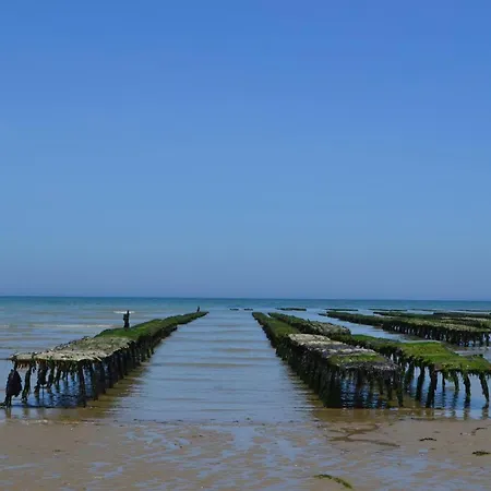Duplex Ou Plain Pied Confort Plein Centre Proche Commerces, Restaurants, Avec Terrasse Privative Ou Jardin Commun Amenage Clos, Parking Gratuit A Proximite, Proche Plages Du Debarquement Lejlighed Bayeux