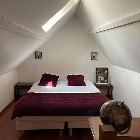 Duplex Ou Plain Pied Confort Plein Centre Proche Commerces, Restaurants, Avec Terrasse Privative Ou Jardin Commun Amenage Clos, Parking Gratuit A Proximite, Proche Plages Du Debarquement *