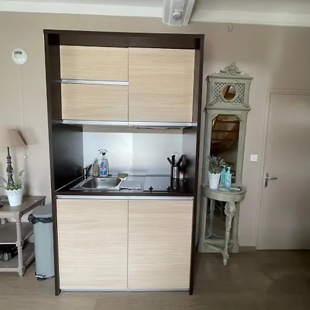 Duplex Ou Plain Pied Confort Plein Centre Proche Commerces, Restaurants, Avec Terrasse Privative Ou Jardin Commun Amenage Clos, Parking Gratuit A Proximite, Proche Plages Du Debarquement * באיו