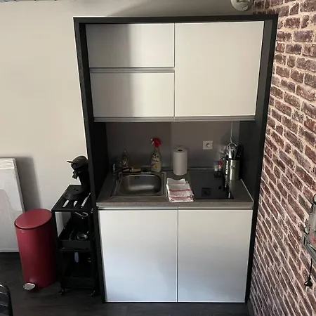 Duplex Ou Plain Pied Confort Plein Centre Proche Commerces, Restaurants, Avec Terrasse Privative Ou Jardin Commun Amenage Clos, Parking Gratuit A Proximite, Proche Plages Du Debarquement *