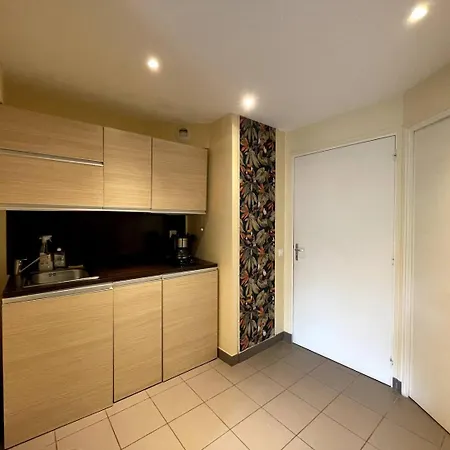 Duplex Ou Plain Pied Confort Plein Centre Proche Commerces, Restaurants, Avec Terrasse Privative Ou Jardin Commun Amenage Clos, Parking Gratuit A Proximite, Proche Plages Du Debarquement